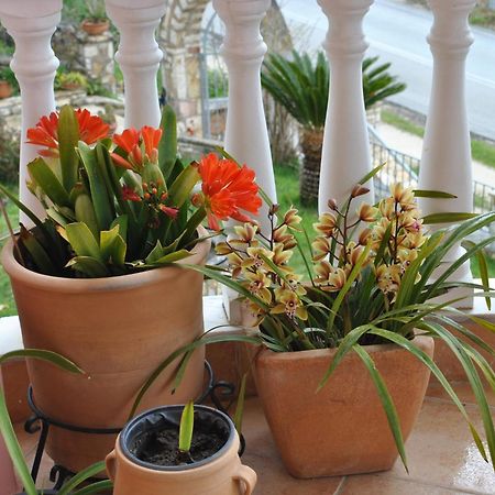 파르가 Amaryllis House 아파트 외부 사진