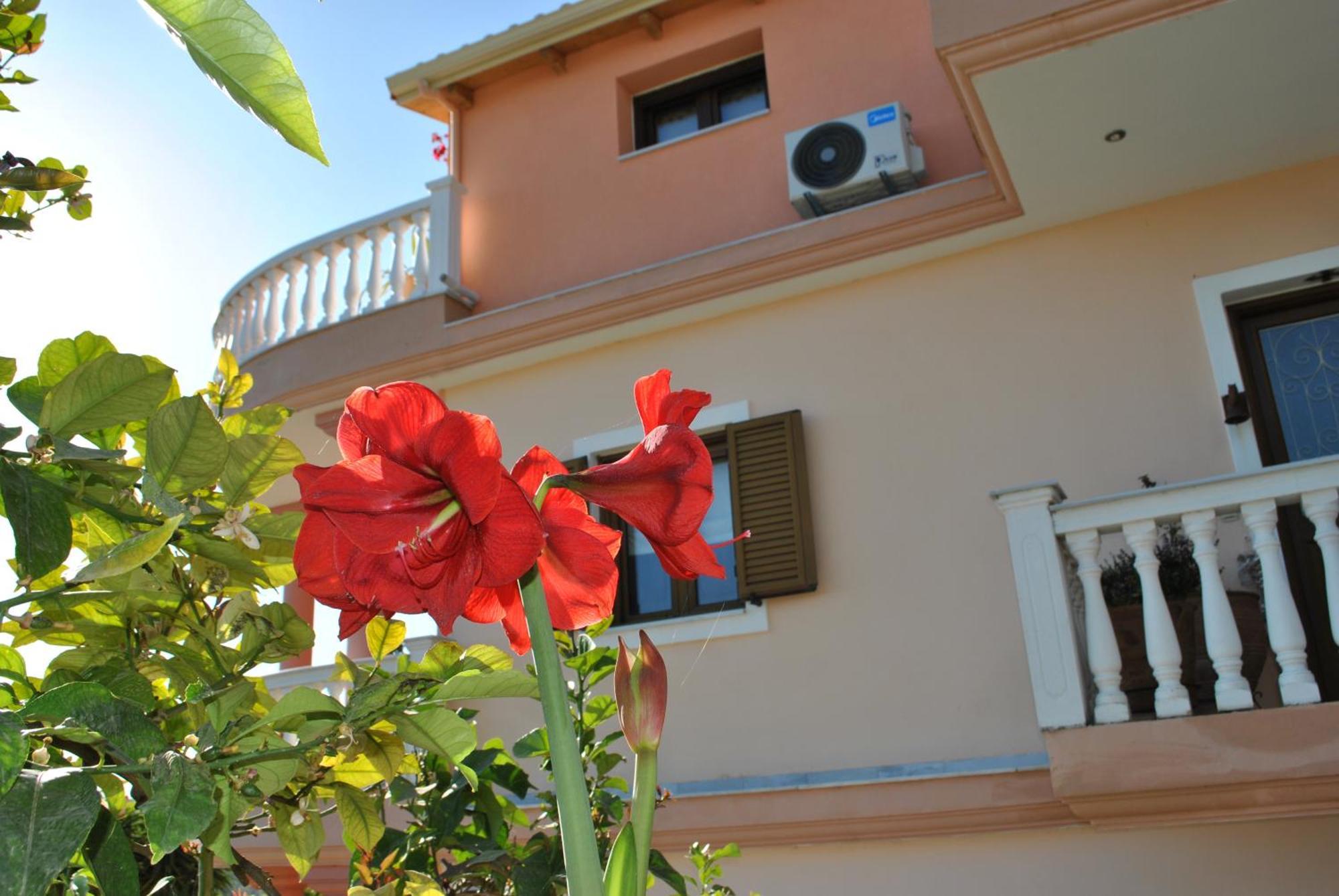 파르가 Amaryllis House 아파트 외부 사진