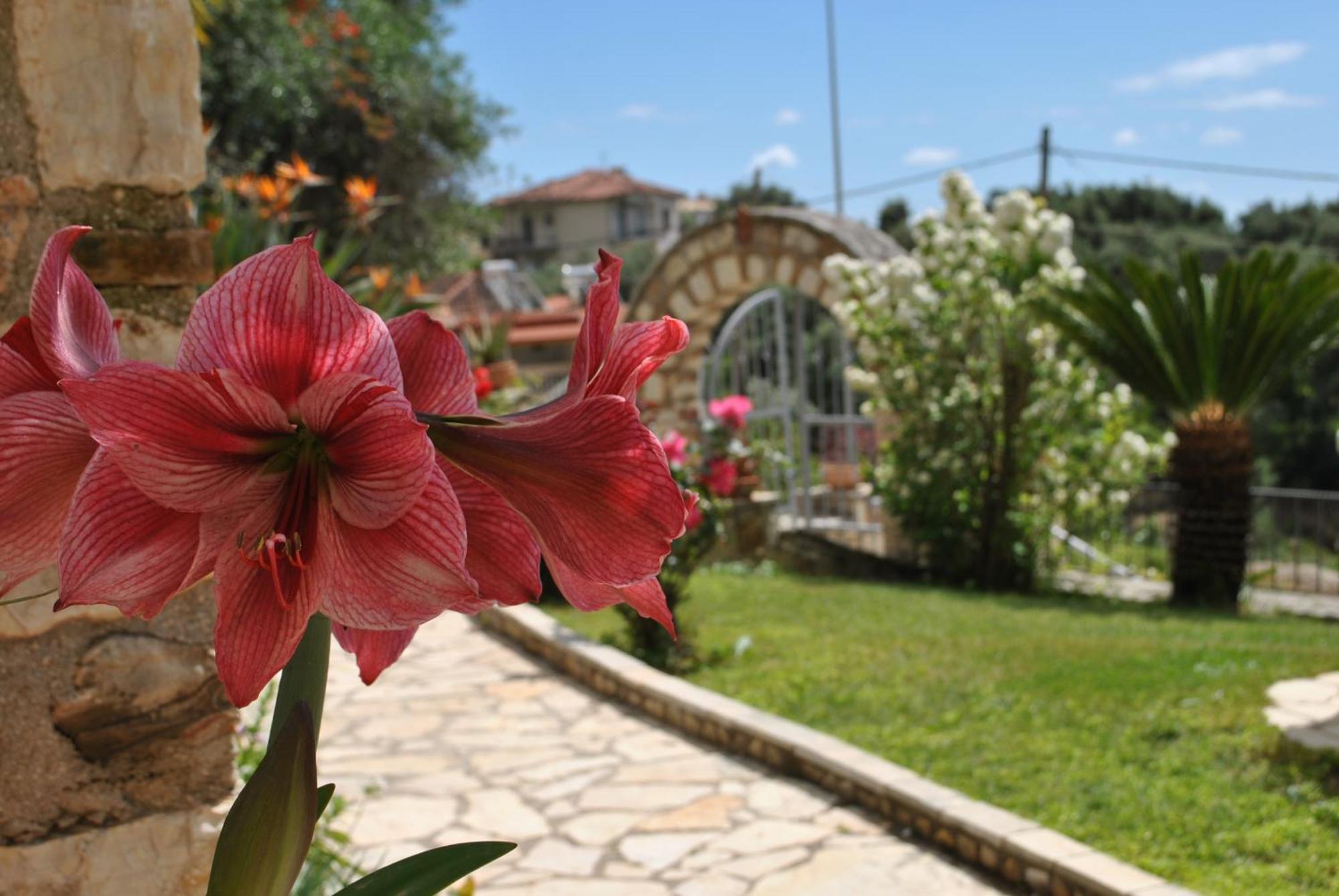파르가 Amaryllis House 아파트 외부 사진